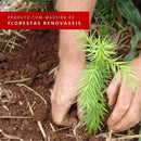 Cozinha Completa Madesa Emilly Fire com Balcão e Armário Aéreo Reflex - Rustic/preto