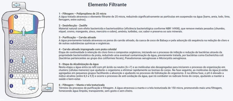 Purificador Agua Ozonizada Alcalina Ionizada Top Life - 127V (Prata)